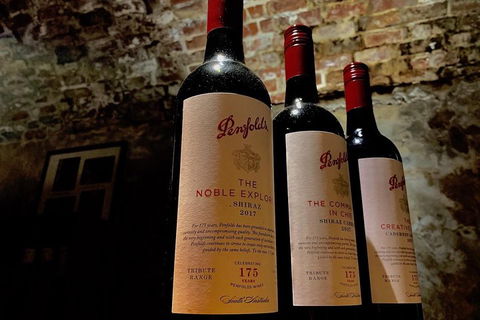 The Ultimate Penfolds Magill Estate Wine & Underground Cellar Tour - Darwin Holiday 5
