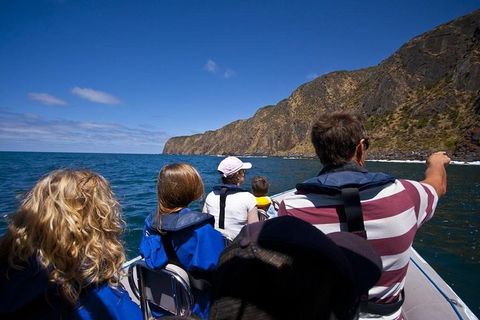 Seal Island Boat Tour From Victor Harbor - Darwin Holiday 0
