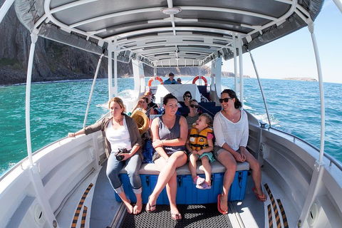Seal Island Boat Tour From Victor Harbor - Darwin Holiday 1