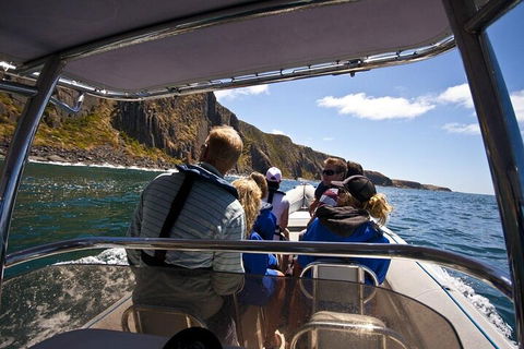Seal Island Boat Tour From Victor Harbor - Darwin Holiday 2