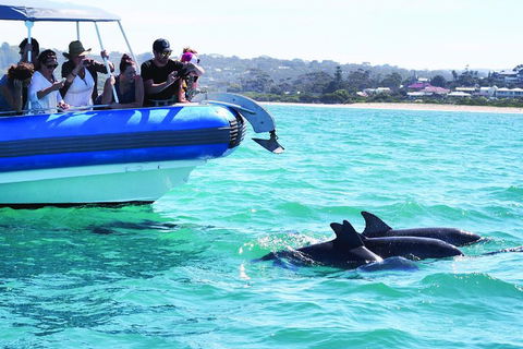 Southern Ocean Adventure From Victor Harbor - Darwin Holiday 2