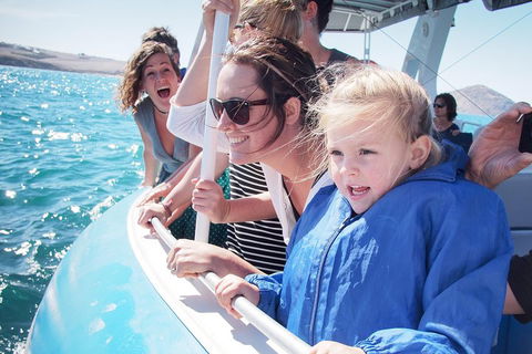 Southern Ocean Adventure From Victor Harbor - Darwin Holiday 4
