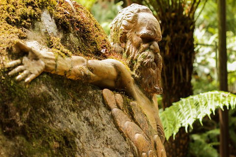 Dandenong Ranges Private Tour Including William Ricketts Sanctuary - Darwin Holiday 3