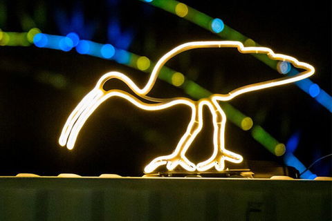 Walk The Lights â€”Â A VIVID Festival Walking Tour - Darwin Holiday 2