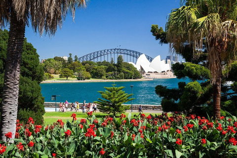 Sydney Luxury Private Shore Excursion | 6 Hr Tour | Departs From Cruise Terminal - Darwin Holiday 5