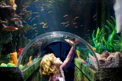 Melbourne BIG Ticket - LEGOLAND Discovery And SEA LIFE Melbourne - Darwin Holiday 2