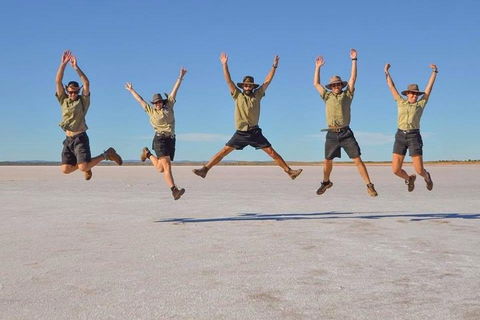 Mount Conner 4WD Small Group Tour From Ayers Rock Including Dinner - Darwin Holiday 2