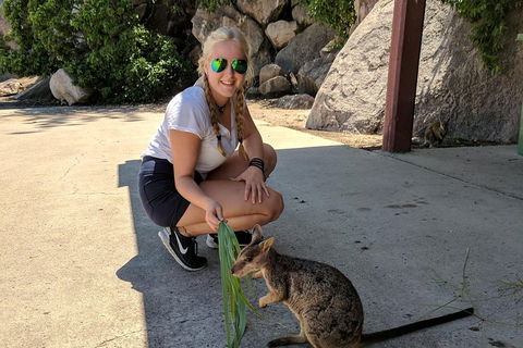 Magnetic Island Tour: Maggie Comprehensive - Darwin Holiday 2