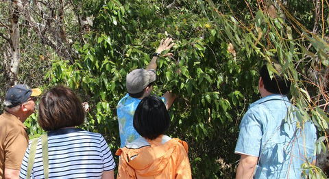 Magnetic Island Tour: Maggie Comprehensive - Darwin Holiday 4
