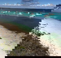 Experience Rottnest with Ferry  Bike Hire from Perth or Fremantle - Darwin Holiday