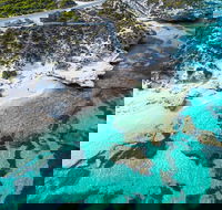 Rottnest Island Round-Trip Ferry from Perth or Fremantle - Darwin Holiday