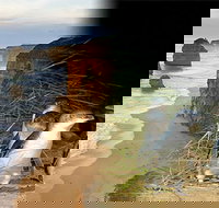 Melbourne Super Saver Great Ocean Road  Phillip Island  Attraction Pass - Darwin Holiday