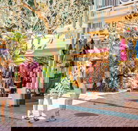 Full Day Sunshine Coast Hinterland Luxury Small Group Tour from Brisbane - Darwin Holiday