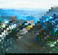 Springbrook National Park  Gold Coast Full Day Luxury Tour from Brisbane - Darwin Holiday