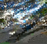 1/2 day Swan Valley Wine Cheese  Chocolate Tour Inc Afternoon Cruise to Perth - Darwin Holiday