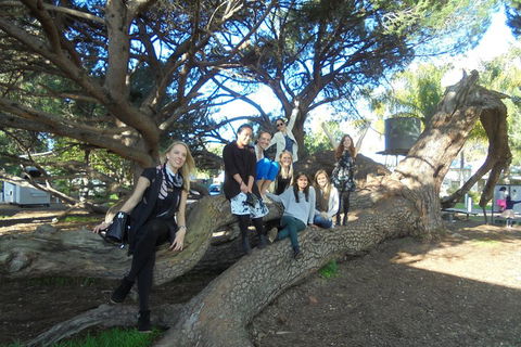 1/2 Day Swan Valley Wine Cheese & Chocolate Tour Inc Afternoon Cruise To Perth - Darwin Holiday 0