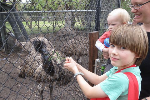 Swan Valley Half-Day Food Tour And Wine Trail From Perth - Darwin Holiday 5