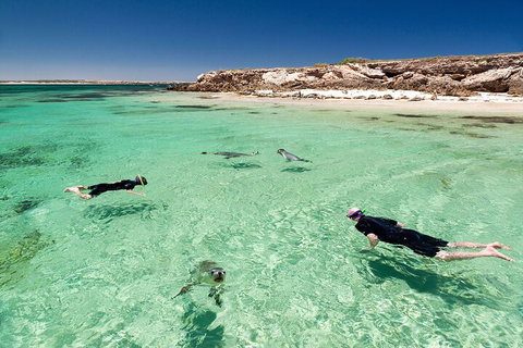 10 Day Adelaide To Perth Private Tour - The Great Australian Wilderness Journey - Darwin Holiday 1