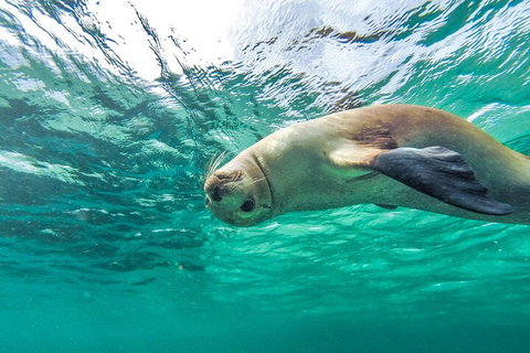 10 Day Adelaide To Perth Private Tour - The Great Australian Wilderness Journey - Darwin Holiday 2