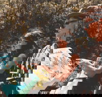 Springbrook andTamborine Rainforest Tour Incl Natural Bridge and Glow Worm Cave - Darwin Holiday