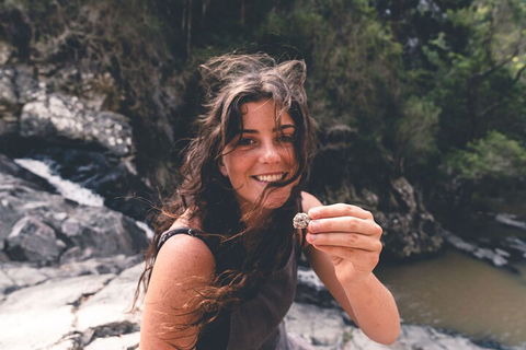 Springbrook AndTamborine Rainforest Tour Incl Natural Bridge And Glow Worm Cave - Darwin Holiday 1