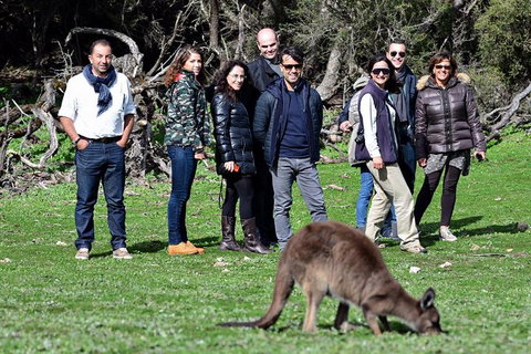 2-Day Kangaroo Island 4WD Small-Group Tour From Adelaide - Darwin Holiday 1