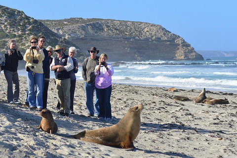 2-Day Kangaroo Island 4WD Small-Group Tour From Adelaide - Darwin Holiday 3