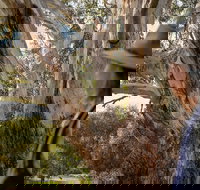 NEW TOUR - Kangaroo Island Road to Recovery Tour 1 Day/1 Night - Darwin Holiday