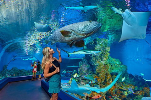 Cairns Aquarium Admission Ticket - Darwin Holiday 3