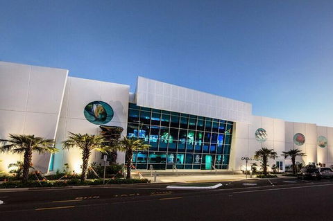 Cairns Aquarium Admission Ticket - Darwin Holiday 4