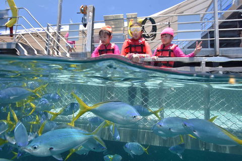 Outer Reef Pontoon Experience From Cairns - Darwin Holiday 0