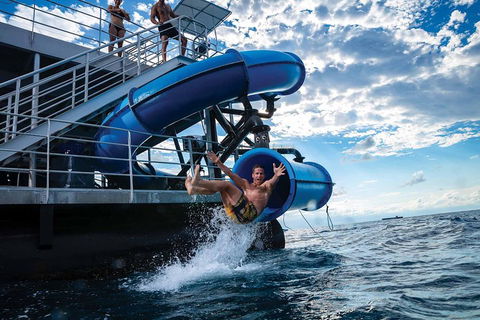 Outer Reef Pontoon Experience From Cairns - Darwin Holiday 3