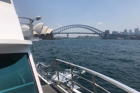 Sydney Harbour Discovery Cruise Including Lunch - Darwin Holiday 3