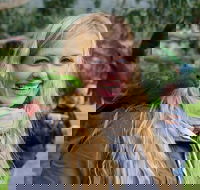 Great Ocean Road Reverse Itinerary with 12 Apostles from Melbourne - Darwin Holiday