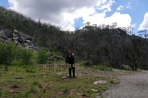 Blue Mountains Private Tour From Sydney With Jenolan Caves - Darwin Holiday 3