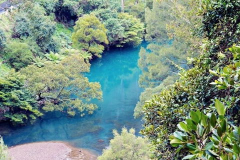 Blue Mountains Private Tour From Sydney With Jenolan Caves - Darwin Holiday 4