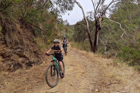 Mount Lofty Descent Bike Tour From Adelaide - Darwin Holiday 0