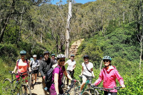 Mount Lofty Descent Bike Tour From Adelaide - Darwin Holiday 5