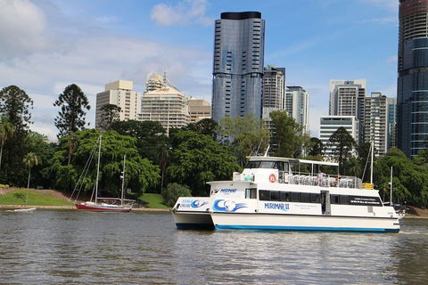 Lone Pine Koala Sanctuary Admission With Brisbane River Cruise - Darwin Holiday 2