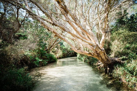 3-Day Fraser Island Resort Package - Darwin Holiday 5