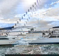 Vivid 90-Minute Sydney Harbour Catamaran Cruise with BYO Drinks - Darwin Holiday