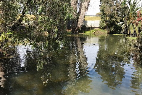 Perth East Foreshore And City Segway Tour - Darwin Holiday 1