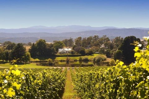 Josef Chromy Wines Winery Tour Including Tasting And Lunch - Darwin Holiday 4