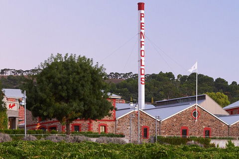 Ultimate Penfolds Magill Estate Experience - Darwin Holiday 3