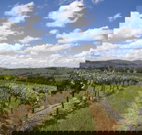 Hunter Valley Wine Tour from Sydney incl Lunch Cheese Chocolate and Distillery - Darwin Holiday
