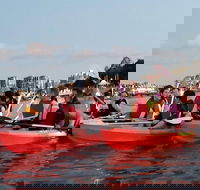 Brisbane River Guided Evening Tour by Kayak - Our Most Popular Tour - Darwin Holiday