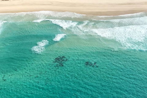 Coastal Helicopter Shared Flight - 20 Minutes - Darwin Holiday 4