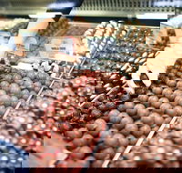 Pinnacles Desert Private Tour - Darwin Holiday