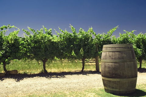 Pinnacles Desert Private Tour - Darwin Holiday 5