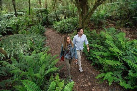 Great Ocean Road Full Coastal Tour - 3 Days, 2 Nights - Darwin Holiday 4